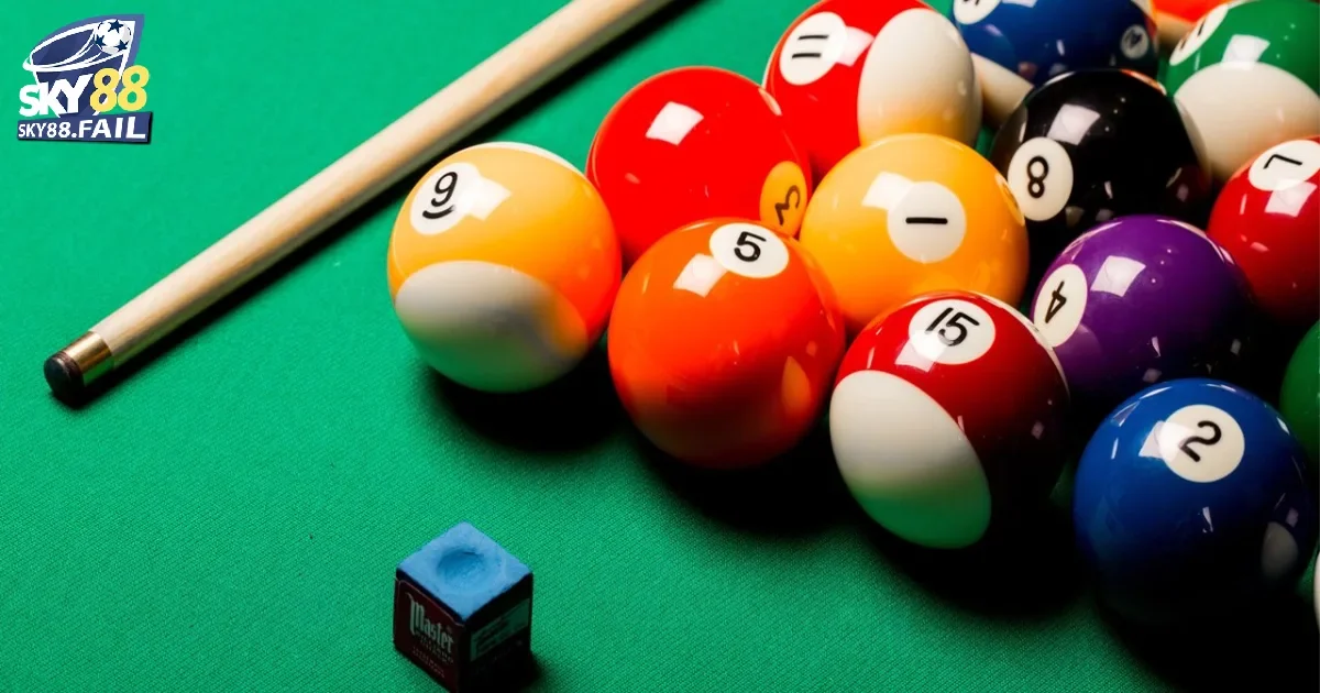 Cá Cược Bida Là Gì?