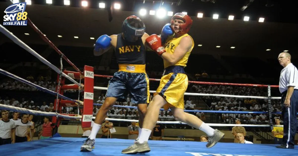 Cá Cược Boxing Online Tại Sky88: Sàn Đấu Thể Thao Kịch Tính 3 Các Loại Kèo Boxing Thông Dụng