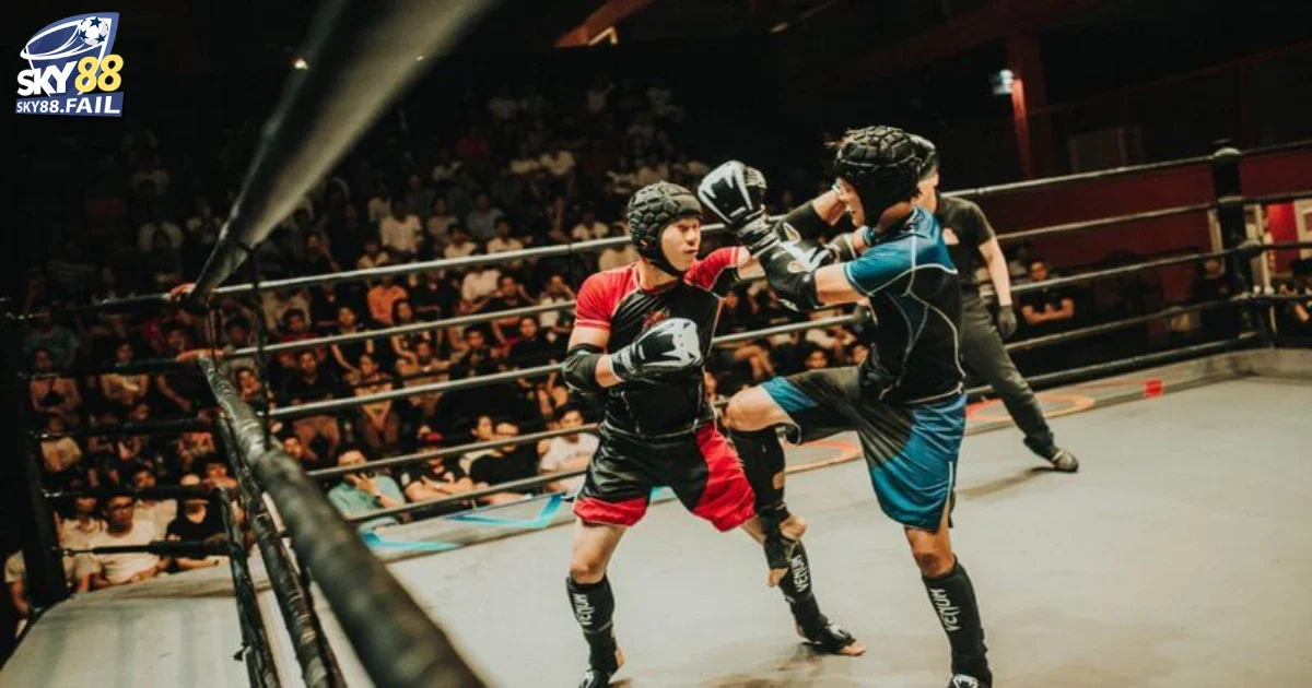 Cá Cược Boxing Online Tại Sky88: Sàn Đấu Thể Thao Kịch Tính 5 Hướng Dẫn Cá Cược Boxing Online