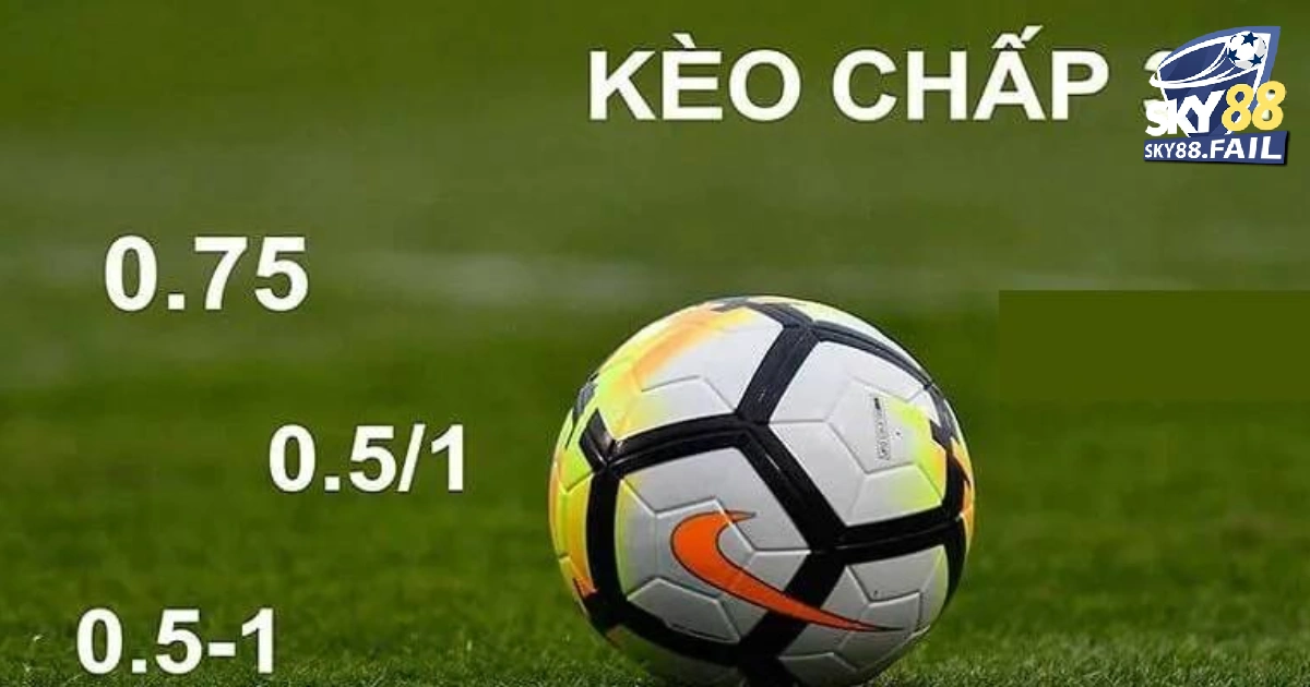 Tìm Hiểu Kèo 335 Trái: Định Nghĩa và Cách Đọc Chi Tiết 2 Giới thiệu về kèo 3/3,5 trái SKY88