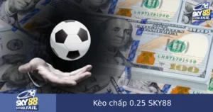 Kèo Chấp 0.25 Là Gì? Cách Bắt Kèo 1/4 Tại SKY88