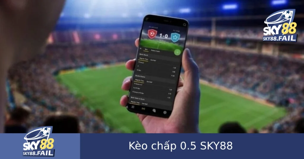 Kèo Chấp 0.5 Là Gì? Cách Chơi Kèo Nửa Trái Dễ Hiểu SKY88