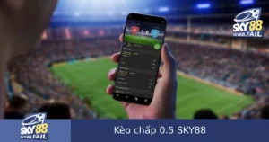 Kèo Chấp 0.5 Là Gì? Cách Chơi Kèo Nửa Trái Dễ Hiểu SKY88