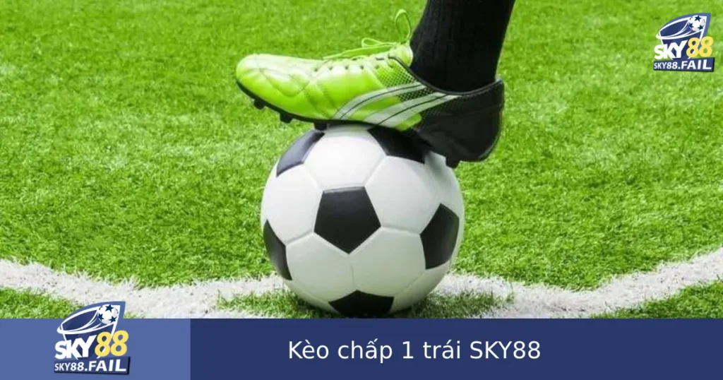 Kèo Chấp 1 Trái – Hướng Dẫn Chơi Và Tính Tiền Không Sai Sót Tại SKY88