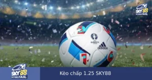 Kèo Chấp 1.25 Là Gì? Cách Chia Tiền Thắng Thua Và Kinh Nghiệm Cược Tại SKY88