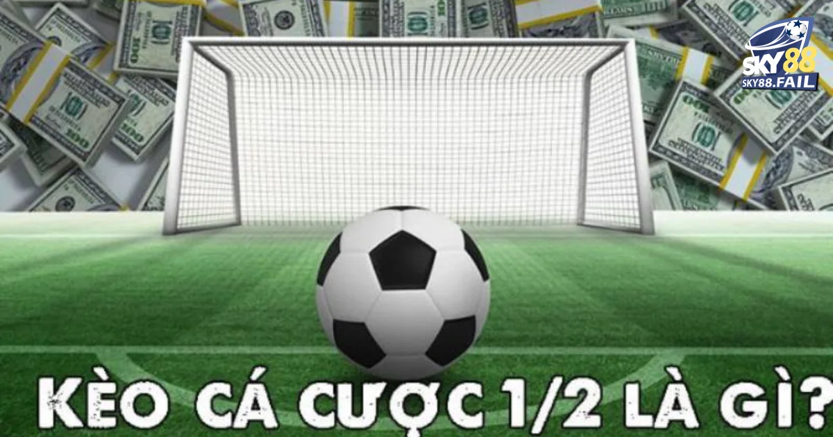 Hướng dẫn chi tiết cách đặt cược kèo chấp 1/2 nhà cái Sky88