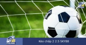 Kèo Chấp 2 2.5 (2.25) Tại SKY88 – Tính Tiền Thế Nào Khi Chỉ Thắng 2 Bàn?