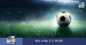 Kèo Chấp 2.5 SKY88 – Kèo Cược Mạo Hiểm Nhưng Tỷ Lệ Ăn Cao